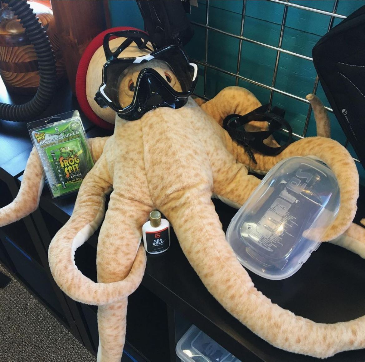 Tacoma SCUBA Octopus