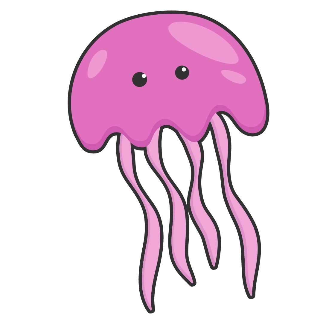 jellyfish