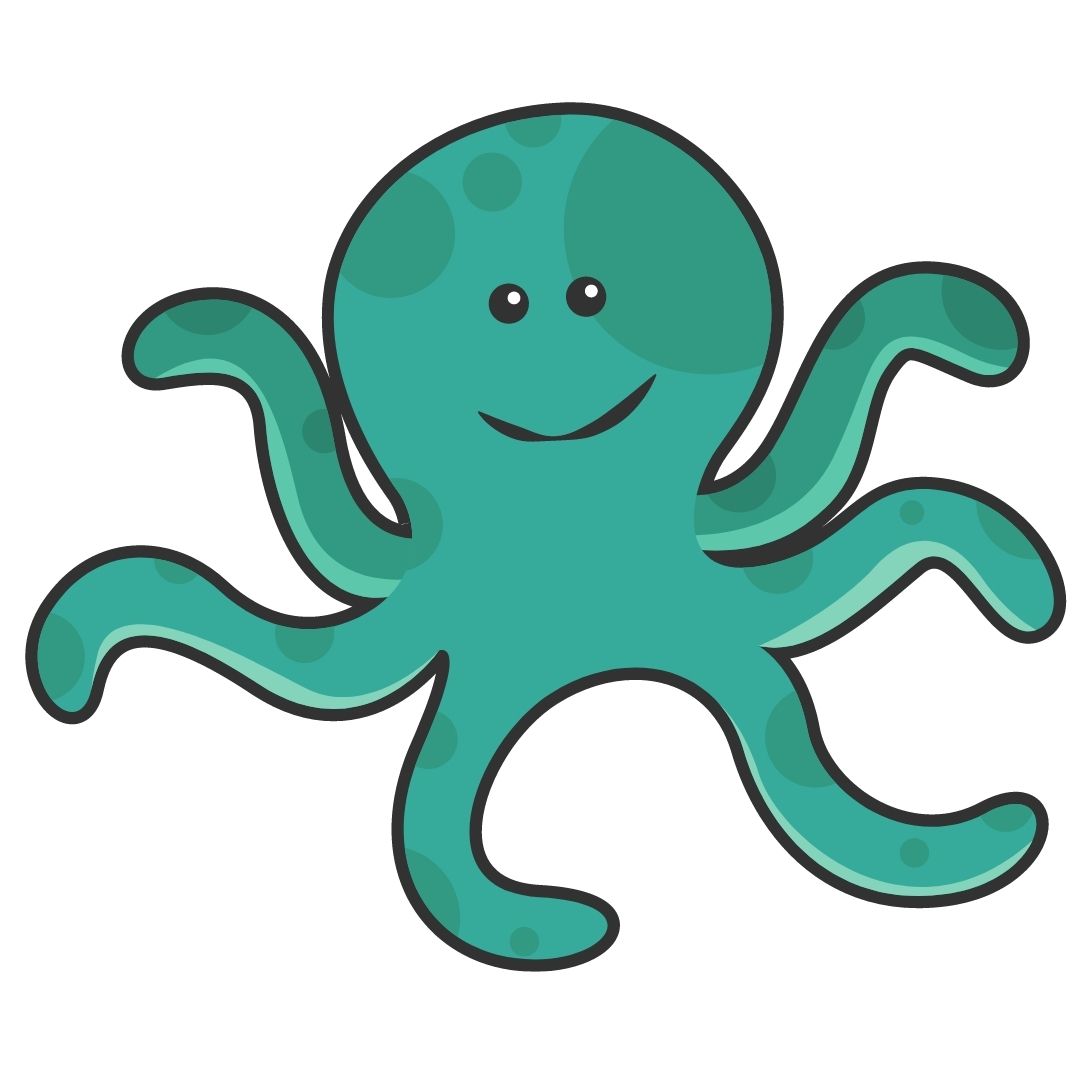 octopus