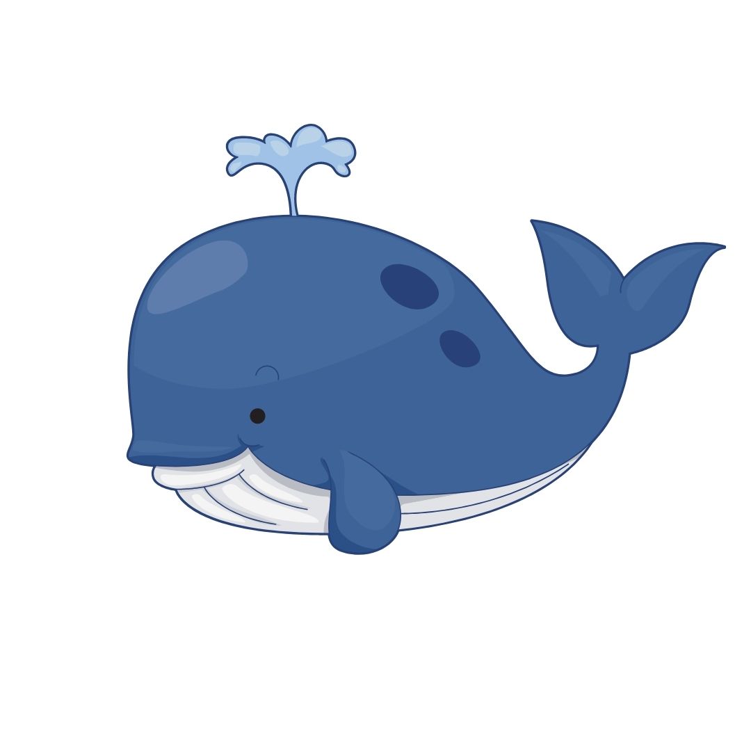 whale